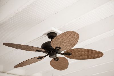 Ceiling Fan Motor Replacement