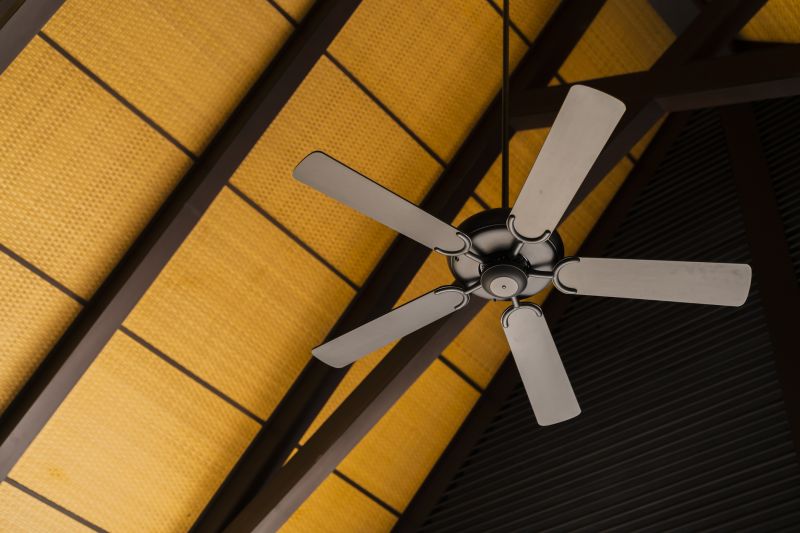 Stylish Ceiling Fans